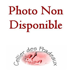 Aérateur