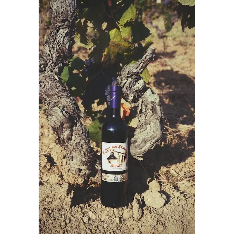 Bouteille d'IGP Méditerranée rouge Syrah