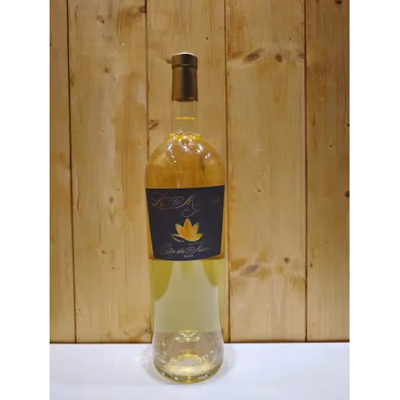 Magnum de Côtes de Provence blanc 1,5 L