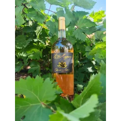 Magnum de Côtes de Provence rosé 1,5 L