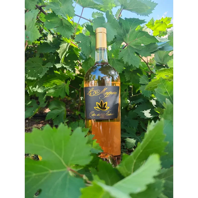 Magnum de Côtes de Provence rosé 1,5 L