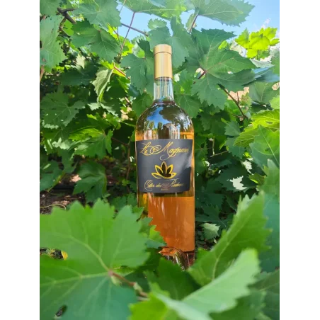 Magnum de Côtes de Provence rosé 1,5 L