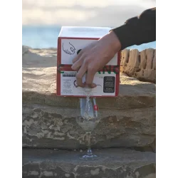 Bag in box de 10 litres de vin blanc Sauvignon