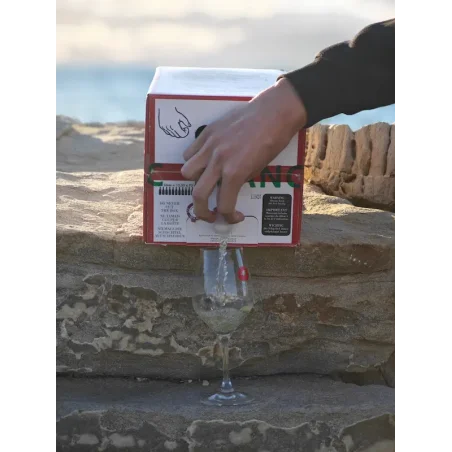Bag in box de 10 litres de vin blanc Sauvignon