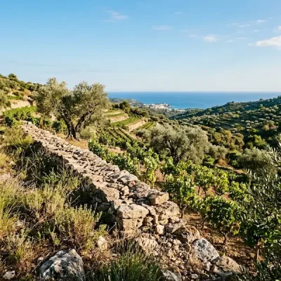 IGP Méditerranée